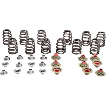 VALVE SPRING KIT FOR CAN AM MAVERICK