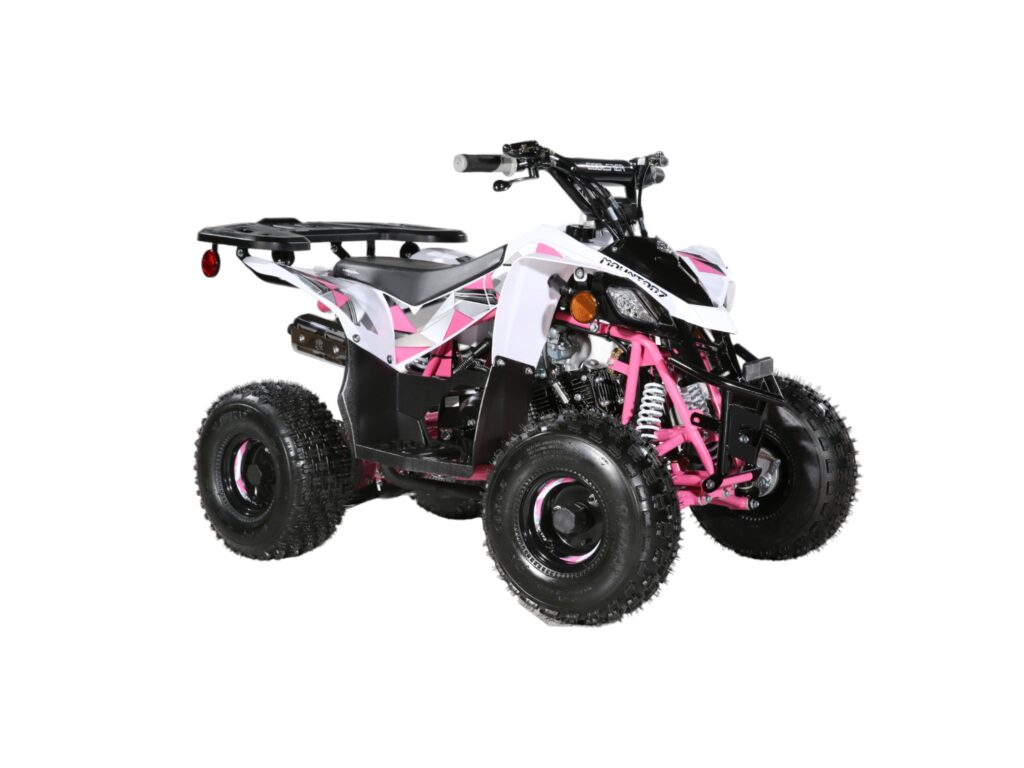 Small 110cc Sport ATV with Reverse