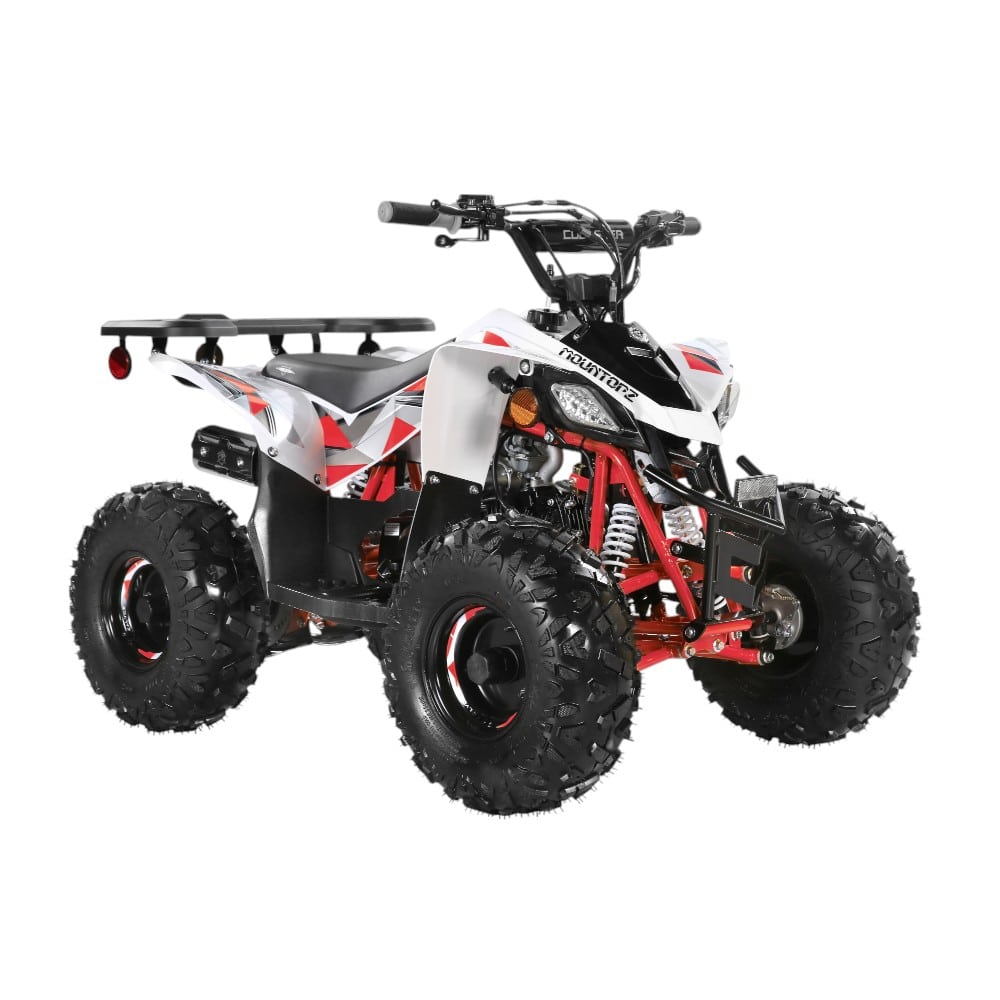 Small 110cc Sport ATV with Reverse