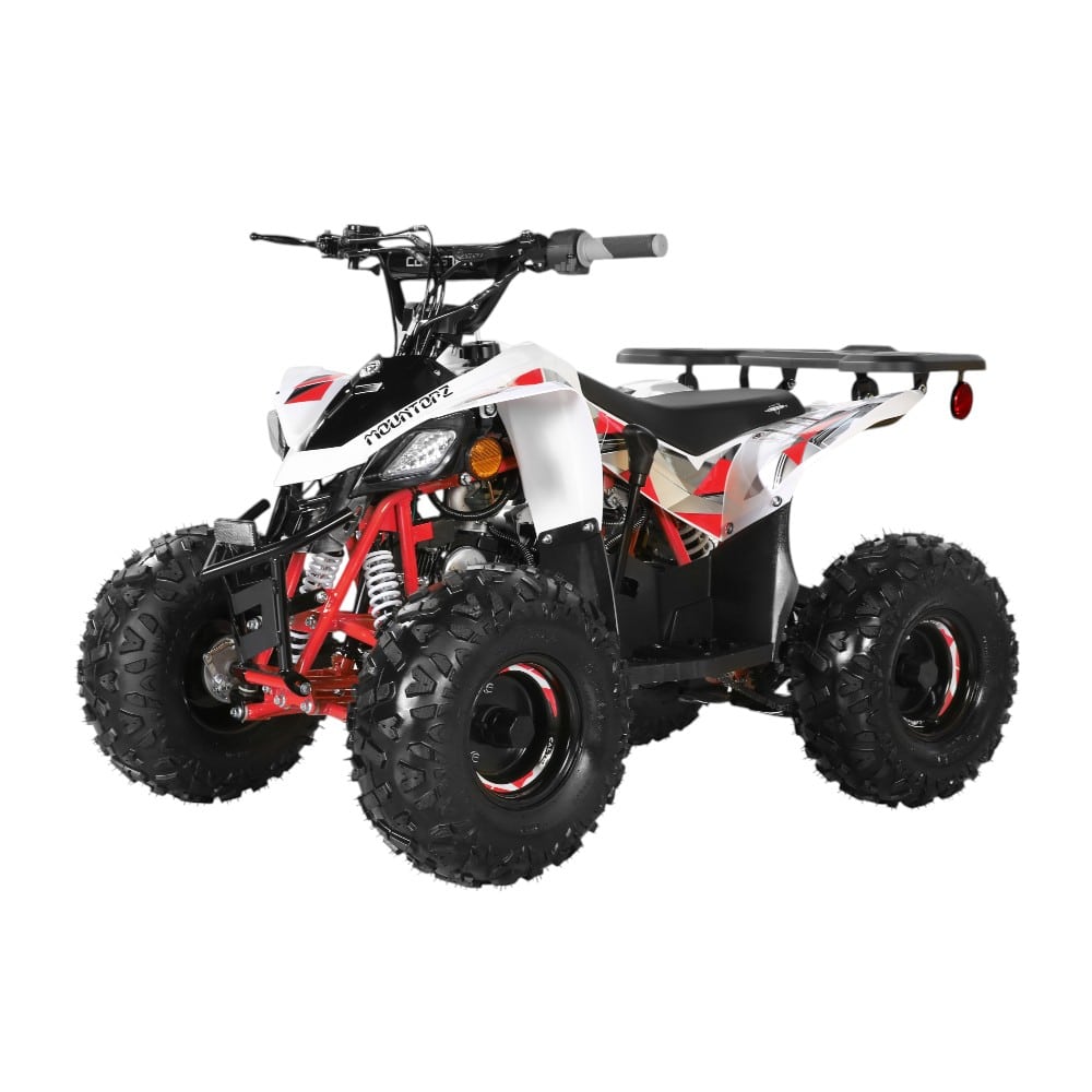 Small 110cc Sport ATV with Reverse