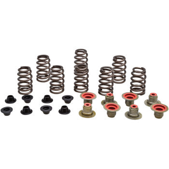 VALVE SPRING KIT FOR POLARIS GENERAL 1000, RANGER 900, RZR 900, 1000, RS1