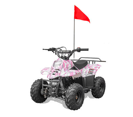 VHR 110CC YOUTH ATV