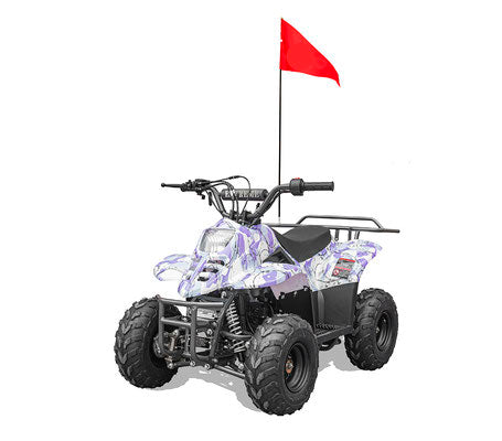 VHR 110CC YOUTH ATV