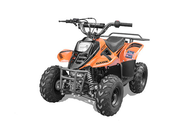 VHR 110CC YOUTH ATV