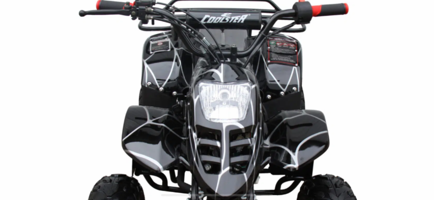 Youth 110cc ATV