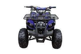 Youth 125cc Large Utility ATV