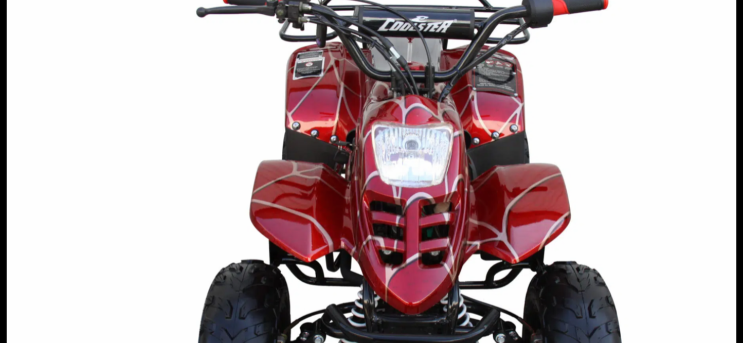 Youth 110cc ATV