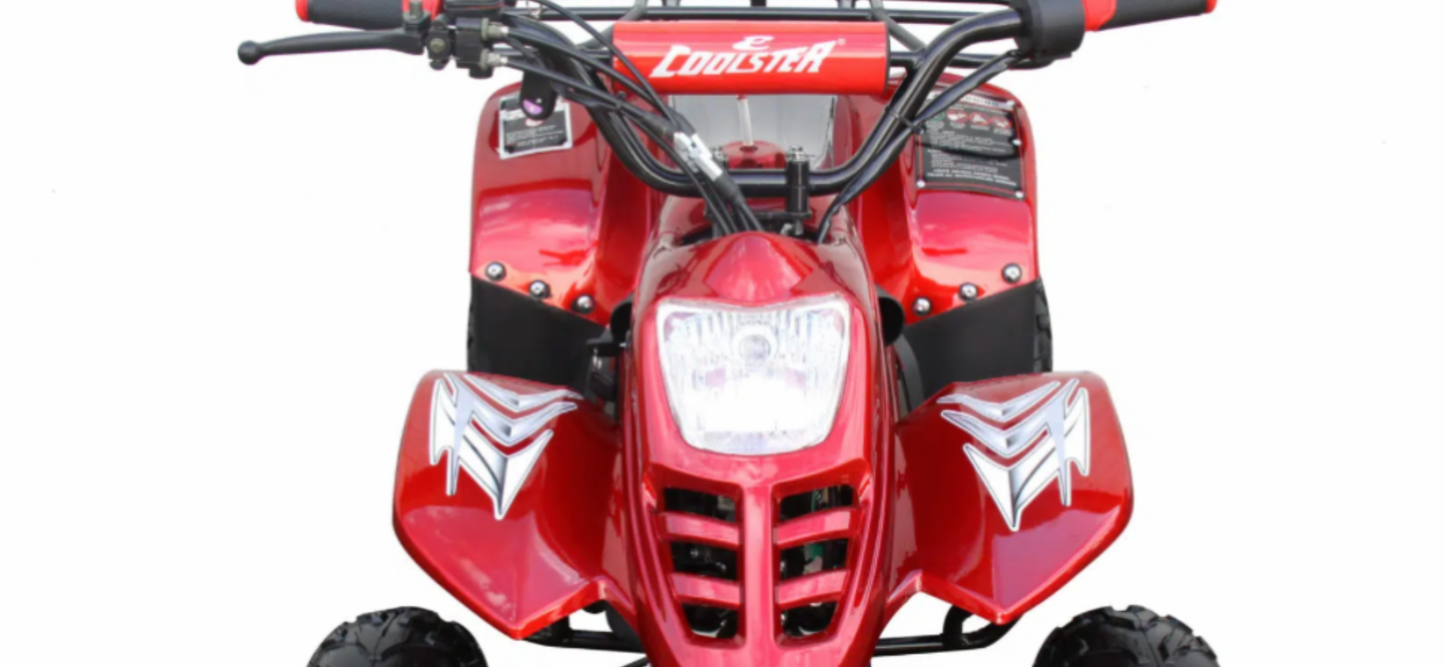 Youth 110cc ATV