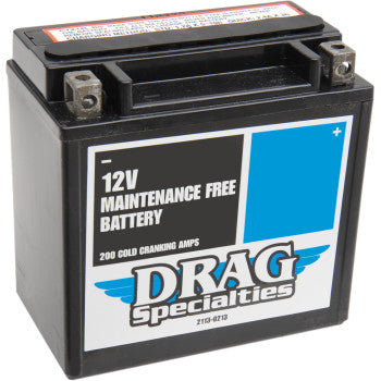 DRAG SPECIALTIES High Performance Battery - YTX14L FOR BMW, APRILIA, KAWASAKI, HONDA, HARLDEY DAVIDSON, SUZUKI, YAMAHA, TRIUMPH, BUELL, HUSQVARNA