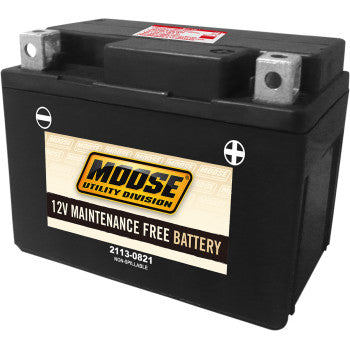 CTX4L Factory-Activated AGM Maintenance-Free Battery