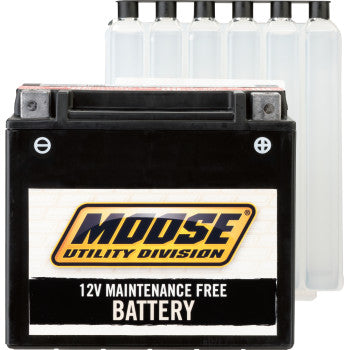 MOOSE MTX4L-BSAGM Maintenance-Free Battery AGM Battery - YTX4L-BS