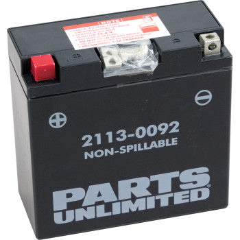 PARTS UNLIMITED Factory-Activated AGM Maintenance-Free Battery AGM Battery - YT14B4 FOR YAMAHA