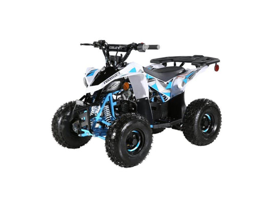 Small 110cc Sport ATV with Reverse