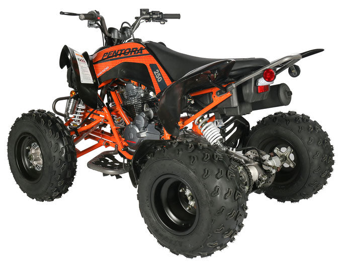 250 SPORT ATV WITH MANUAL CLUTCH