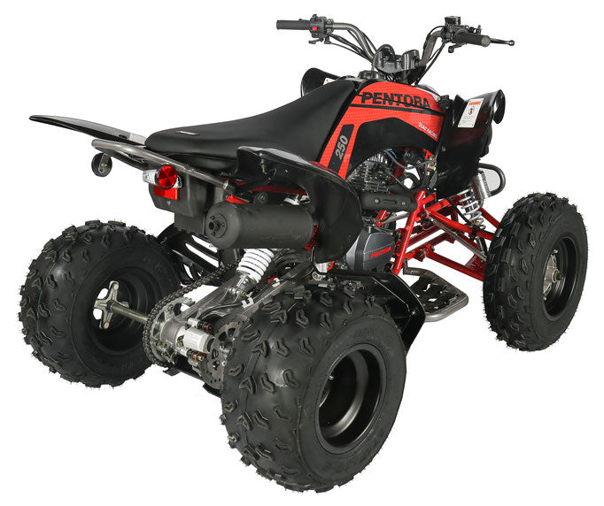 250 SPORT ATV WITH MANUAL CLUTCH