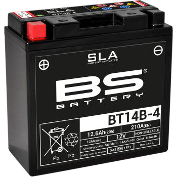 BS BATTERY SLA Factory- Activated AGM Maintenance-Free Battery Battery - BT14B-4 (YT) FOR YAMAHA